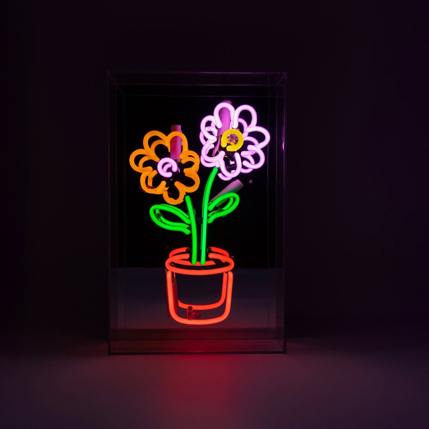 Neon Leuchte · Blumen